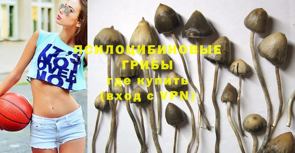 дурь Ростов